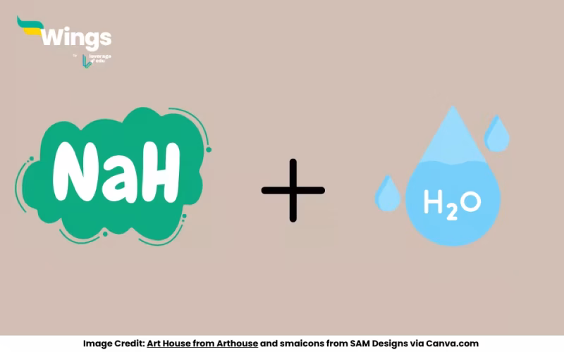 What is Formed in the Reaction of Sodium Hydride with Water?