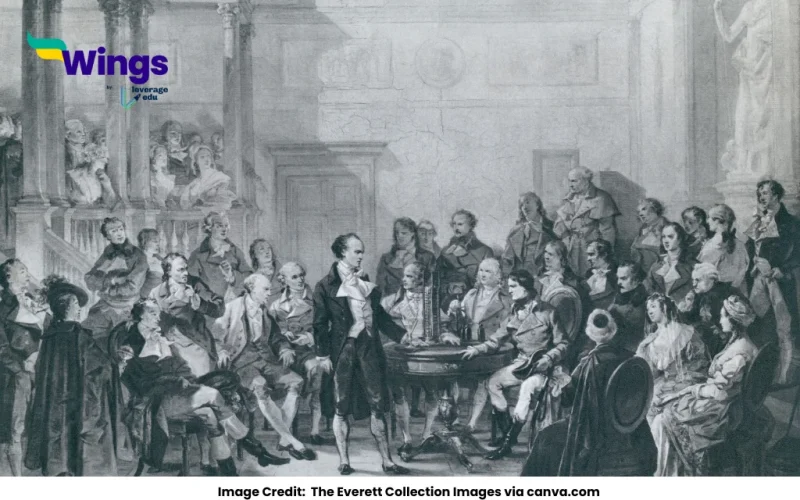 How would you explain the rise of Napoleon