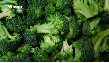 Small Flowers in a Bunch