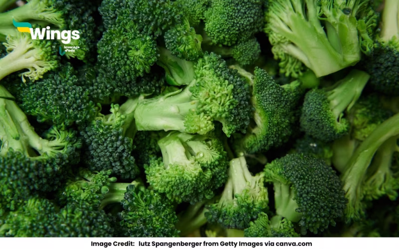 Small Flowers in a Bunch