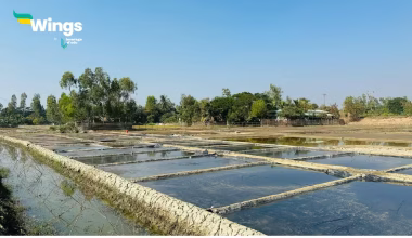 Composite Fish Culture