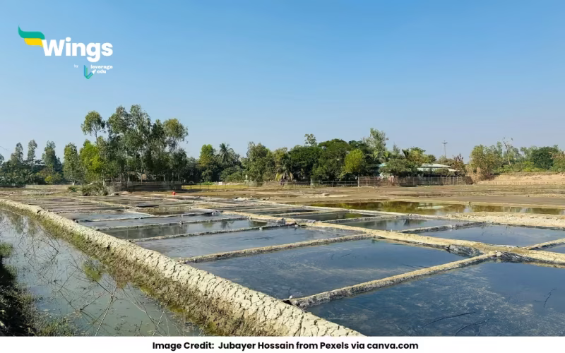 Composite Fish Culture