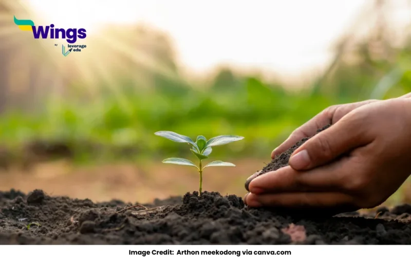 Name the states where black soil is found