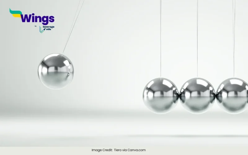 ‘Momentum’ is a scalar or vector