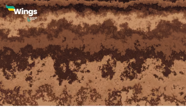 Darkest Layer of the Soil