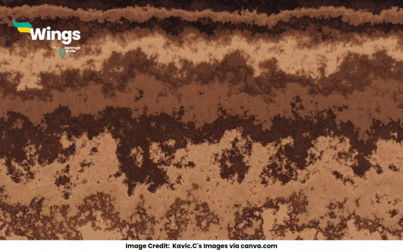 Darkest Layer of the Soil