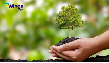 growing of more and more plants