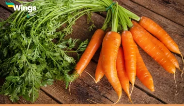 Is Carrot a Fruit or a Vegetable