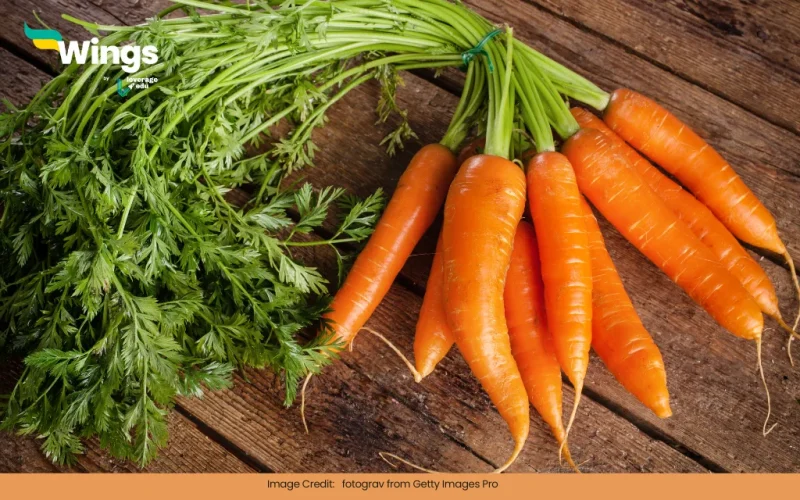 Is Carrot a Fruit or a Vegetable