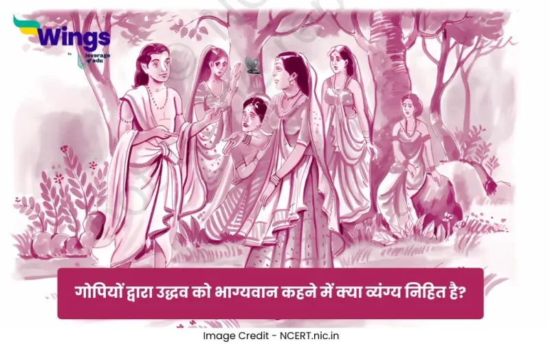 गोपियों द्वारा उद्धव को भाग्यवान कहने में क्या व्यंग्य निहित है