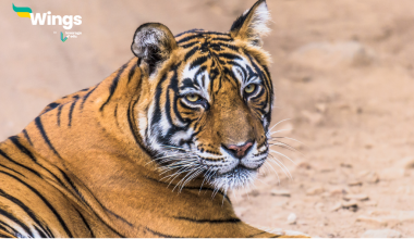 Bandipur Rashtriya Udyan Kahan Hai