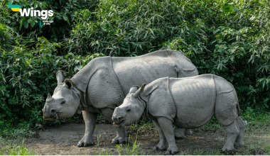 Kaziranga Rashtriya Udyan Kahan Hai