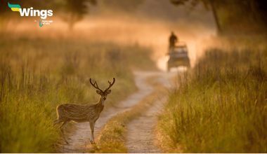 Jim Corbett National Park Kahan Hai
