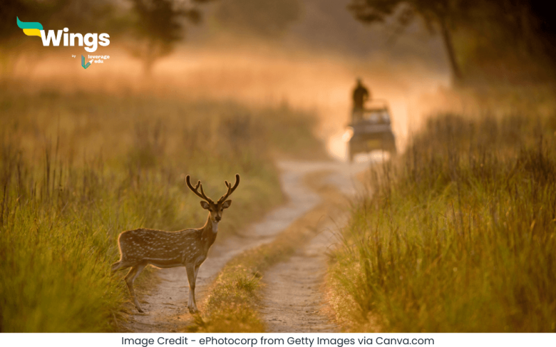 Jim Corbett National Park Kahan Hai