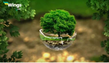 Vishva Paryavaran Divas Kab Manaya Jata Hai