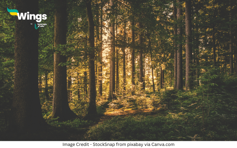 Vaigyanik Vaniki Se Kya Abhipray Hai