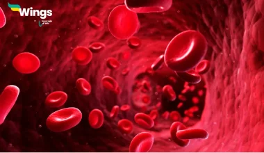 ब्लड ग्रुप कितने प्रकार के होते हैं