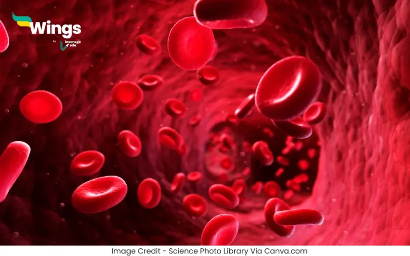 ब्लड ग्रुप कितने प्रकार के होते हैं