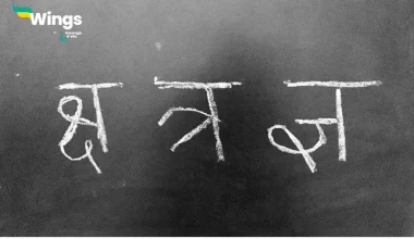 Varn Kitne Prakar Ke Hote Hain