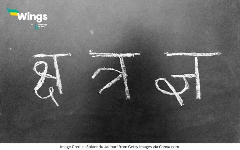 Varn Kitne Prakar Ke Hote Hain