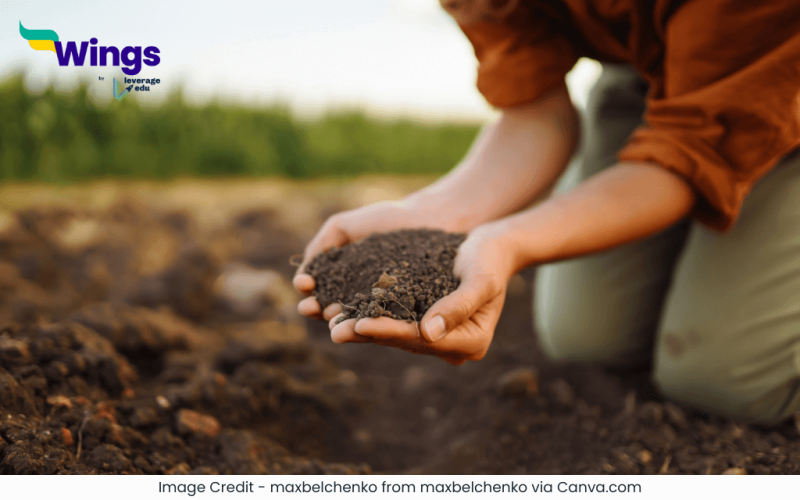 Mitti Kitne Prakar Ke Hote Hain