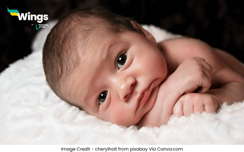 Infant Mortality Rate in Hindi