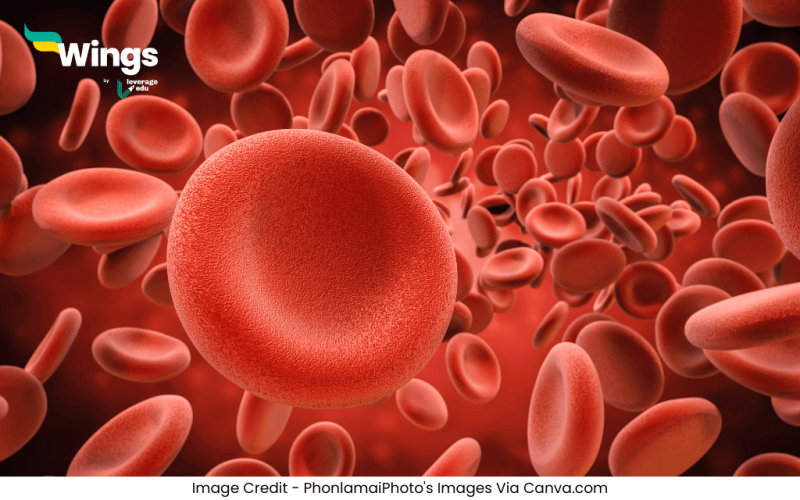 Blood Cell Kitne Prakar Ke Hote Hain