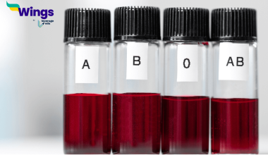 Blood Group Ki Khoj Kisne Ki