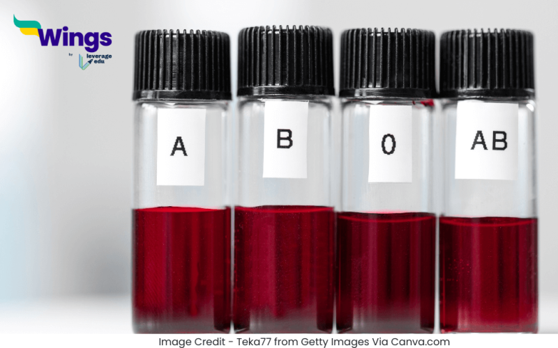 Blood Group Ki Khoj Kisne Ki