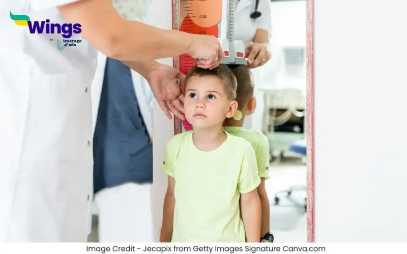 1 Metre Mein Kitne Foot Hote Hain