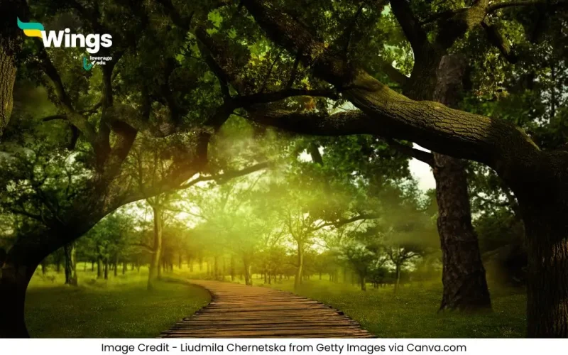 Vishva Van Divas Kab Manaya Jata Hai