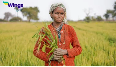 Rashtriya Kisan Divas Kab Manaya Jata Hai
