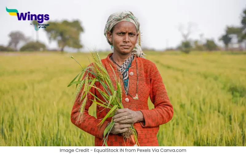 Rashtriya Kisan Divas Kab Manaya Jata Hai