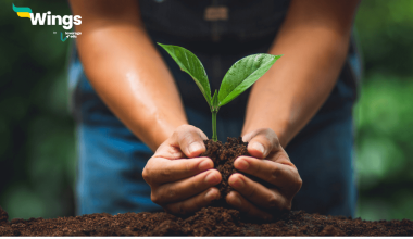 अंतर्राष्ट्रीय जैव विविधता दिवस कब मनाया जाता है