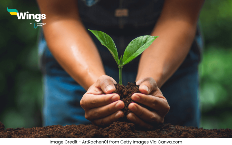 अंतर्राष्ट्रीय जैव विविधता दिवस कब मनाया जाता है