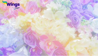 Pastel Rang Kis Prakar Ke Hote Hain