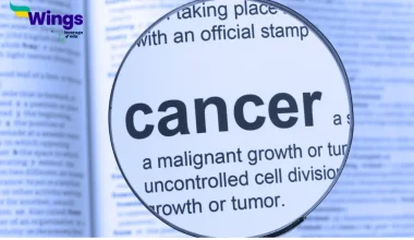 विश्व कैंसर दिवस कब मनाया जाता है