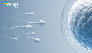 Nishechan Kise Kahate Hain