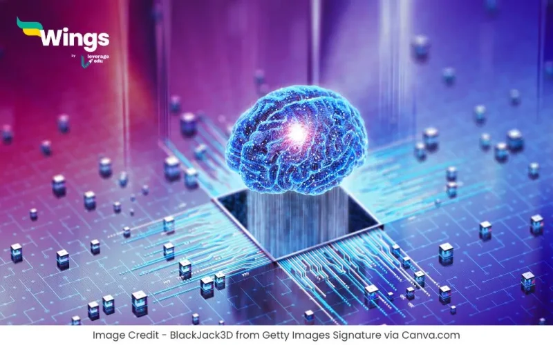 Manav Mastishk Ke Kitne Bhag Hote Hain