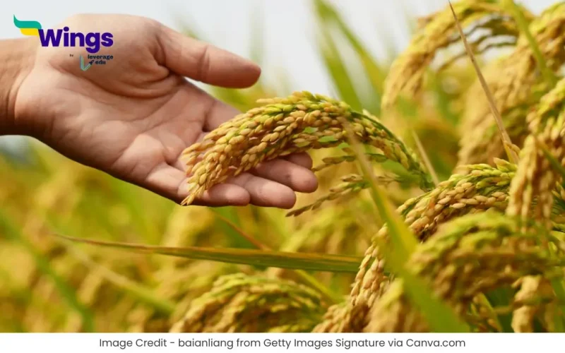 Fasal Kitne Prakar Ki Hoti Hai