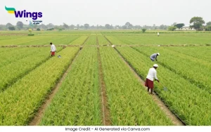 harit kranti kya hai