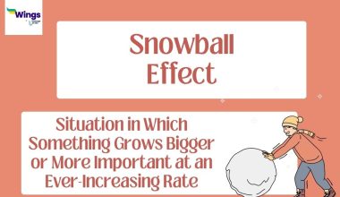 SNOWBALL EFFECT MEANING