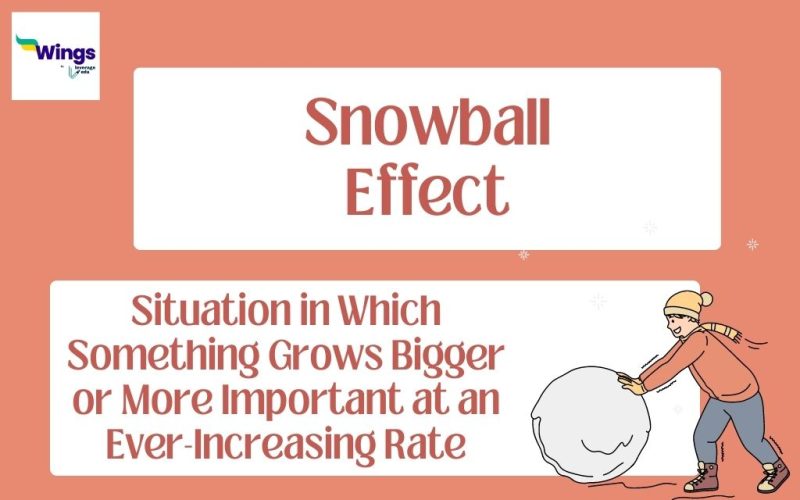SNOWBALL EFFECT MEANING