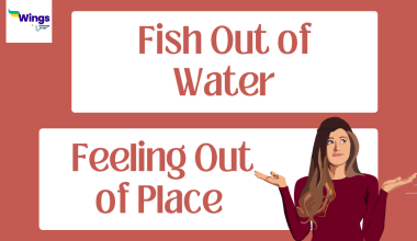 Fish out of water