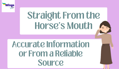 Straight From the Horse’s Mouth Meaning