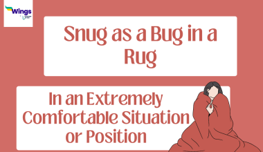Snug as a bug in a rug