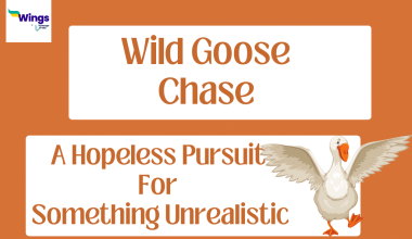 Wild Goose Chase Meaning