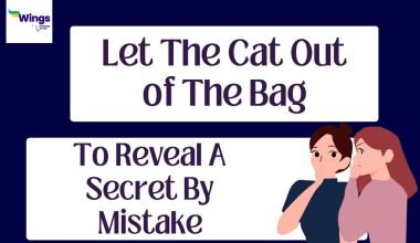 let the cat out of the bag meaning