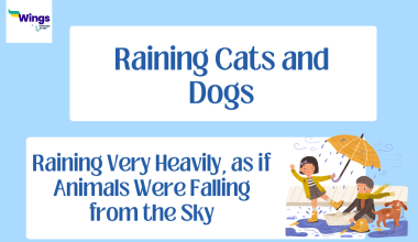 Raining-Cats-and-Dogs.