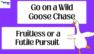 go on a wild goose chase